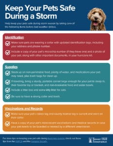 Keep your pet safe during a storm.