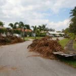 Storm debris on street