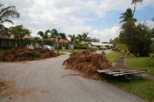 Storm debris on street